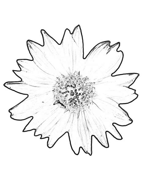 Incredibly beautiful flower coloring pages for adults will provide you with pleasure, clear consciousness and creative inspiration! Free Printable Sunflower Coloring Pages For Kids