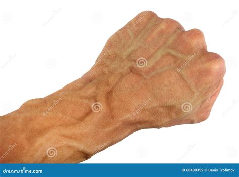 Human Fist And Wrist With Swollen Vein Isolated Stock Photo Image