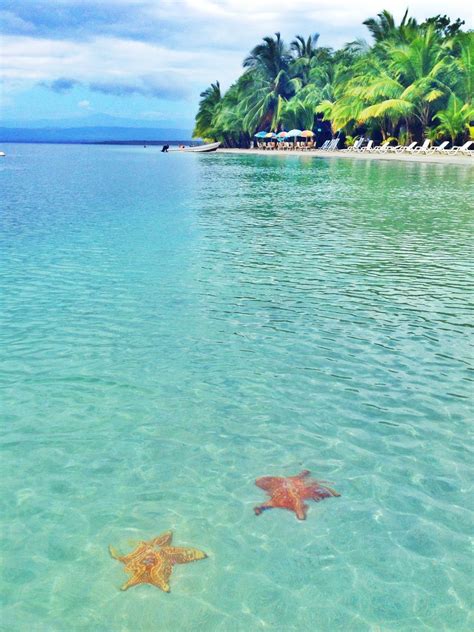 Bocas Del Toro Panama Playa Estrella