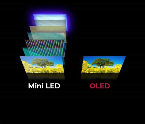 Mini Led And Oled Decoding The Difference Between Both Display Technologies Nseled