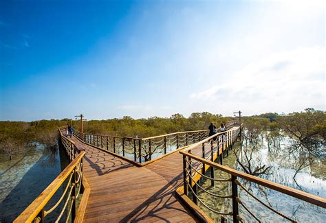 In Pictures Abu Dhabis New Attraction Jubail Mangrove Park Arabian
