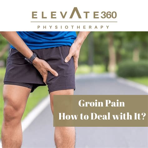 Groin Pain How To Deal With Them Elevate Physiotherapy