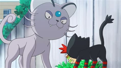 Pin By Damian Grey On Pokémon Pokemon Cat Pokemon Cats