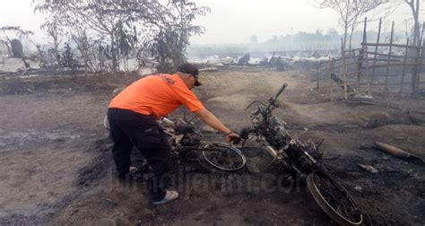 Mekar dan mewangi di musim kemarau. Kebakaran Kandang Ayam di Jombang, 4 Motor Dan 1 Mobil Terbakar - Berita Online Jawa Timur