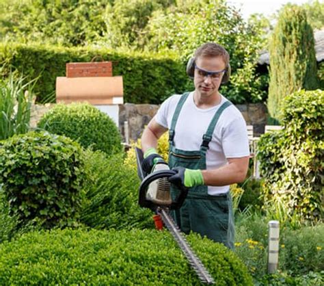 Find Out About Available Landscaping Jobs With Certified Source Staffing