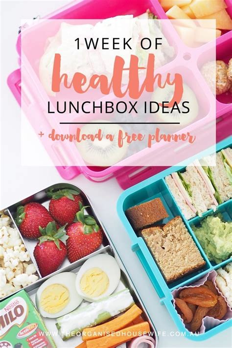 10 Cute Lunch Box Ideas For Kids 2023
