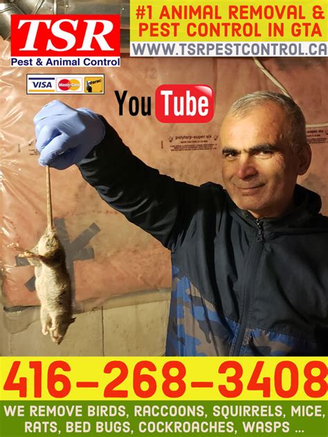 We pride ourselves on the use of professionalism, an understanding we here at the exterminators inc. Best Pest Control in the Greater Toronto Area - Toronto ...