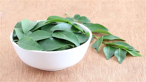 Are curry leaves really helpful for hair growth? Curry Leaves Benefits for Hair - 5 Easy Way to Use Curry ...