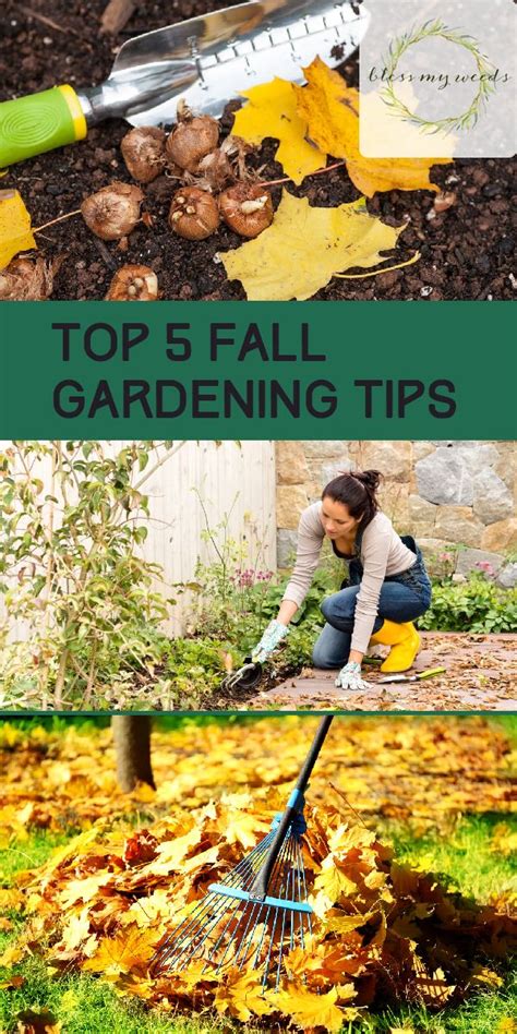 Top 5 Fall Gardening Tips Gardening Tips Autumn Garden Vegetable