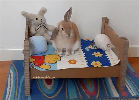 Cardboard Bunny Bed How To Make A Pet Rabbit Bed Rainbow Cabin