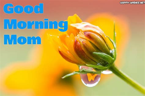 25 Good Morning Wishes For Mom Messages And Images
