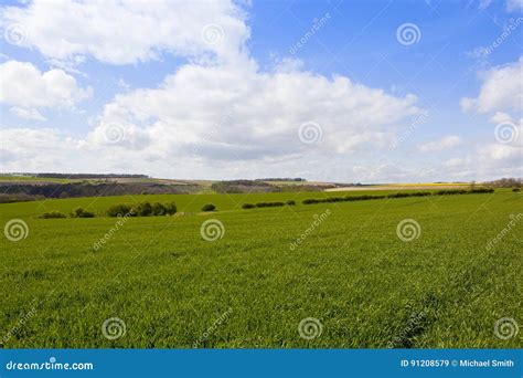Yorkshire Wolds Agriculture Stock Image Image Of Fields Green 91208579