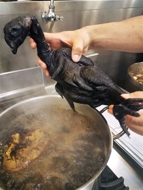 Cooked Black Chicken