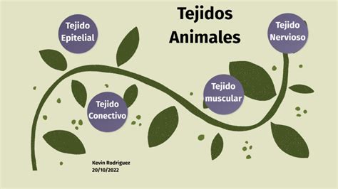 Tejidos Animales By Kevin Daniel