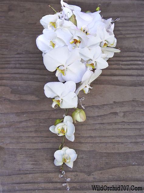Cascade Bridal Bouquet Made Of White Phalaenopsis Orchids With Crystal Accents For A Spring
