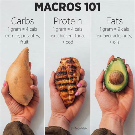 Macros 101 How Tracking Macros Can Help You Achieve Your Goals Meowmeix