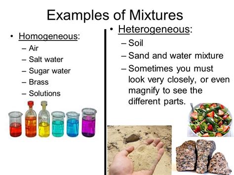 Pin By Madhvi Chanchlani On Grade 7 Science In 2022 Examples Of