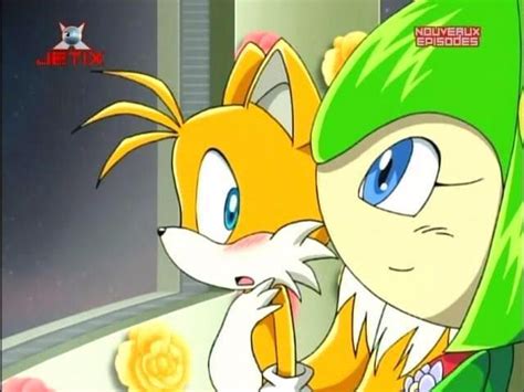Cosmo is really pretty as well, i know in the japanese dub that cosmo and tails were in a sense actually together, but not in the english dub. Tails n cosmo | Sonic, Sonic heroes, Sonic boom amy