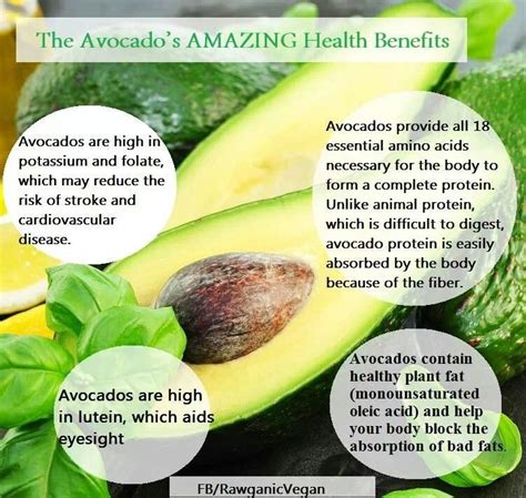 Avocados Amazing Health Benefits Avocado Health Benefits Health