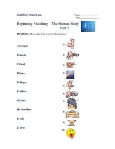 Vocabulary worksheet containing body parts vocabulary. Beginning Matching-- The Human Body Part 2 Worksheet for ...