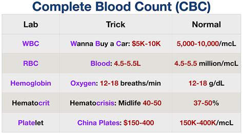 Complete Blood Count Table Hot Sex Picture
