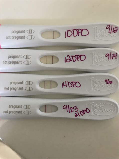 Frer Dpo 10 12 14 And 21 Ive Been Using Internet Cheapies Everyday