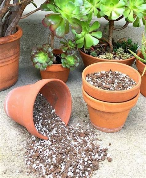 How To Make Your Own Succulent Potting Soil The Garden