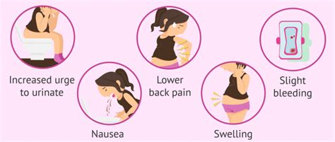 Symptoms Of 2 Week Pregnancy 2 Weeks Pregnant Symptoms Tips And More But Trying To Detect