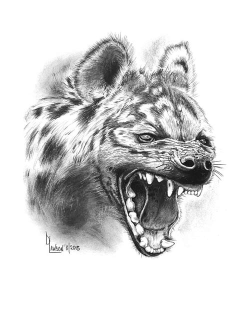 Amazing How To Draw A Hyena Of All Time Learn More Here Howtodraw5