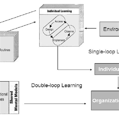 Organizational Single Loop And Double Loop Learning Cycles Adapted From Download Scientific