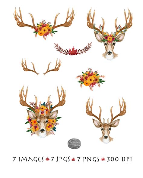 Autumn Deer And Floral Antlers Fall Clip Art Watercolor Etsy