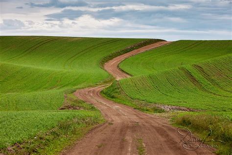 Dirt Path Winds Over Rolling Hillsvalleys Leading To A Panoramic View