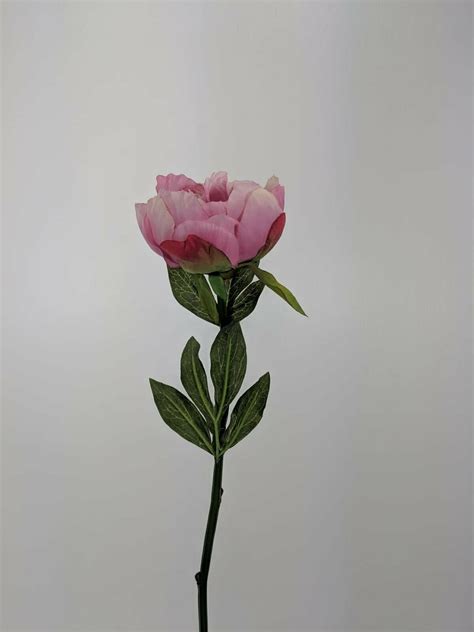 single peony stem ji2608 mav p 1321250586688 silkflora artificial flowers