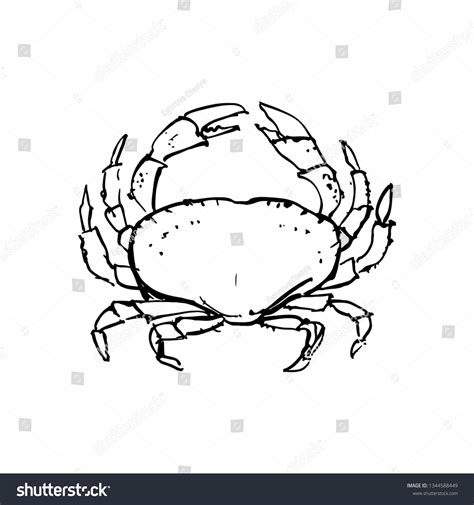 Illustration Big Crab Stock Vector Royalty Free 1344588449 Shutterstock