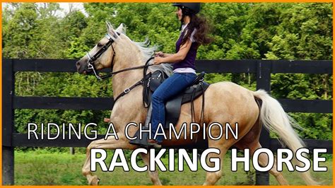 Riding A Champion Speed Racking Horse Discoverthehorse Episode 50