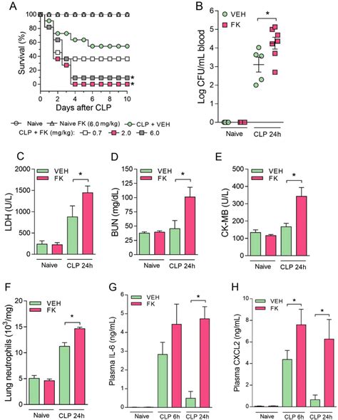 Fk506 Treatment Results In Higher Mouse Susceptibility To Clp Induced