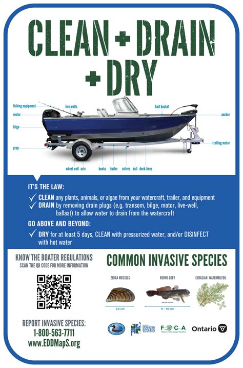 Resources For Boaters Ontarios Invading Species Awareness Program