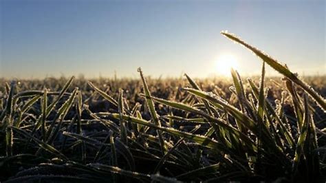 Patchy Frost Possible Friday Morning In Chatham Kent Advises