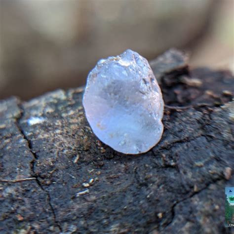 Ceylon Natural Light Blue Sapphire Rough Gemstone