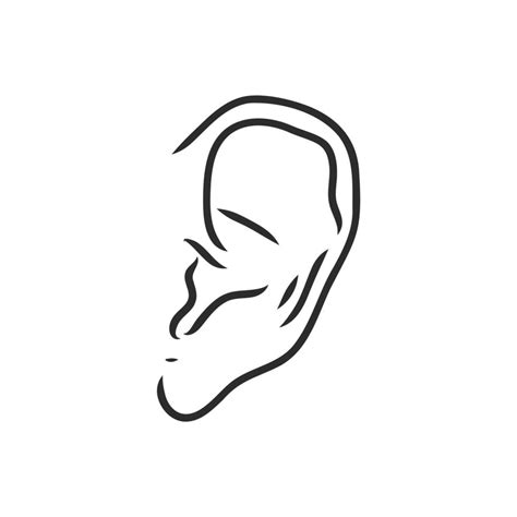 Human Ear Vector Sketch 7307649 Vector Art At Vecteezy