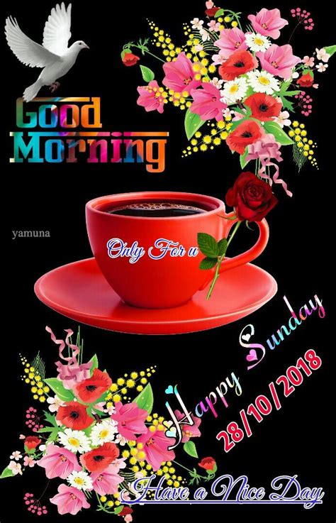 Pin by Yamunachowdari on good morning | Happy sunday morning, Good morning gif, Good morning ...