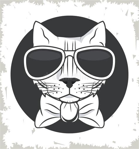 Cool Cat Sunglasses Stock Vector Illustration Of Vector 27809504