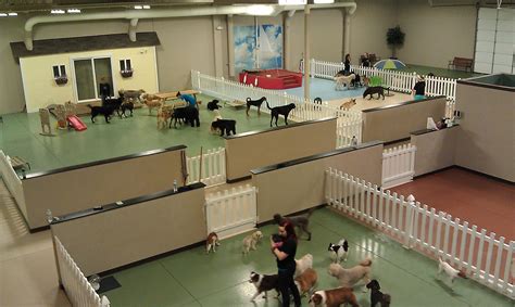 like this | Dog daycare design, Dog daycare, Daycare design