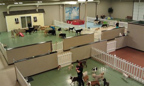 Like This Dog Daycare Design Dog Daycare Business Dog Boarding Facility