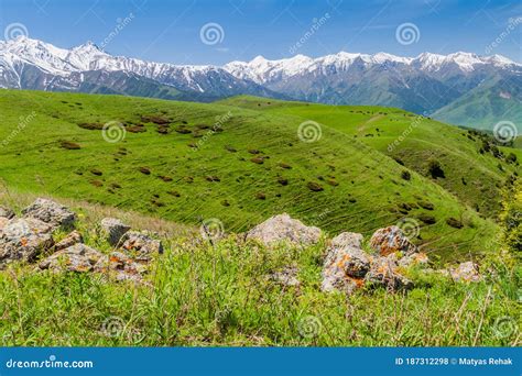 Green Pastures Above Alamedin Valley With High Snow Covered Mountains