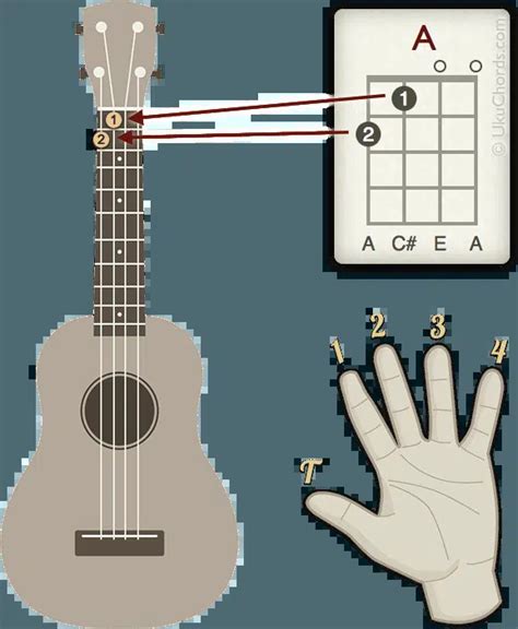 How To Read Ukulele Chord Charts Hot Sex Picture