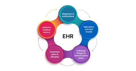 What Should You Choose For Your Healthcare Business Emr Vs Ehr
