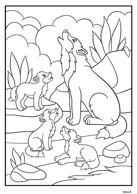 Coloriage Loup Maternelle Greatestcoloringbookcom Images