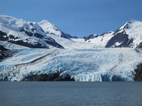 Beautiful Glacier And Lots Of Animals Review Of Alaskas Finest Tours