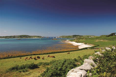 Tresco Isles Of Scilly We Are Cornwall